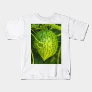 Oregon manroot (Marah oreganus) fruit Kids T-Shirt